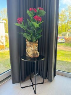 XaBo nr 133 op 5 sterren camping De Pallegarste - Mariënberg - 3