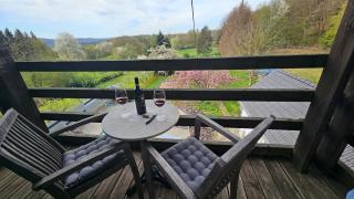 Apartment with pool and wide view - Sankt Ingbert - 9