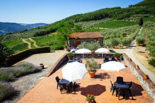 BASCIANO Agritour - Pontassieve - 2