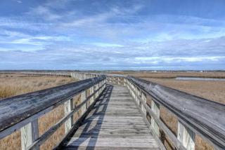 Turtle Cove 134 | Community Pool and Beach Access - 7
