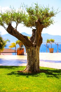 Hotel Apollon Sarande - Saranda - 7