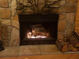 Wild Plum Cabin No. 2 - Eureka Springs - 7
