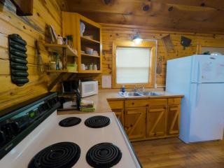 Wild Plum Cabin No. 2 - Eureka Springs - 6