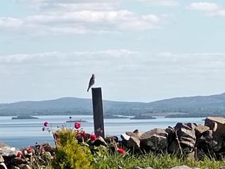 Corrib view cabin - Clonbur - 0