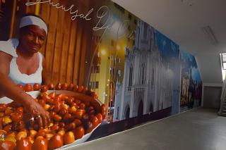 (201) Moderno Loft en Granada - 5