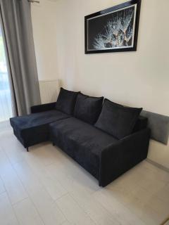 Apartament Wierzyca Pelplin - Pelplin - 5