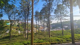 DISA's - Escape in estate - Kotagiri - 5