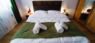 The happy stay Coresi Brașov - Braşov - 3