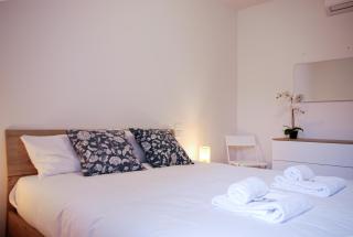 Home & Pet - Ponte - 7