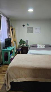 Habitacion Familiar Central independiente - Temuco - 0