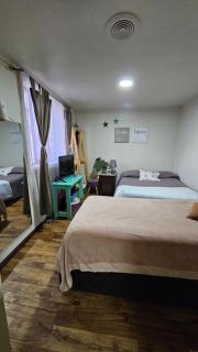 Habitacion Familiar Central independiente - Temuco - 3