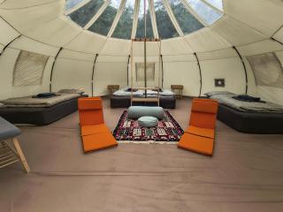 Peace Camp Gremi - 3