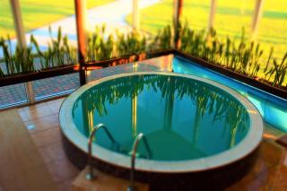 Atostogų namas su baseinu, jacuzzi ir pirtimi - 0