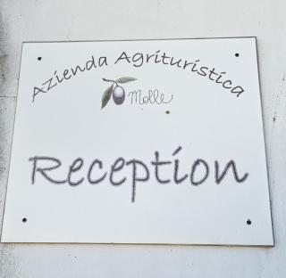 Agriturismo Molle - Carpignano Salentino - 8