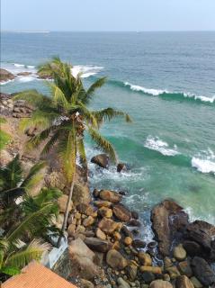 DEVI OCEAN SPA-Ayurveda hotel - Trivandrum - 0