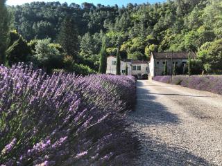 Chateau du Fraissinet, 6 gites sleeping 2-8 guests, Pool and River on site - 9