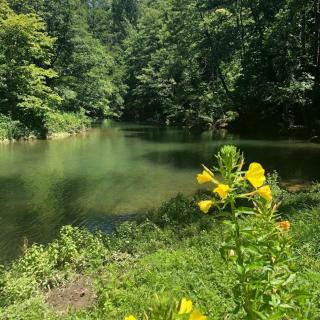 Chateau du Fraissinet, 6 gites sleeping 2-8 guests, Pool and River on site - - 1