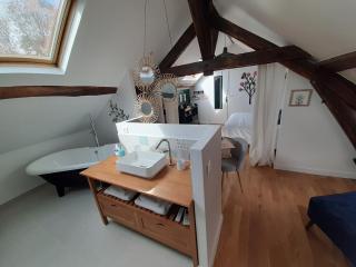 Le Domaine du Moulin 28 proche Chartres - Bailleau-lʼÉvêque - 9