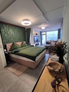 Harz-High-End-Ferienwohnung-Nicholas - Hahnenklee-Bockswiese - 0