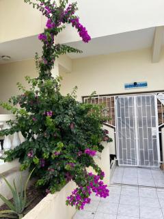 Valeria apartments - Willemstad - 4