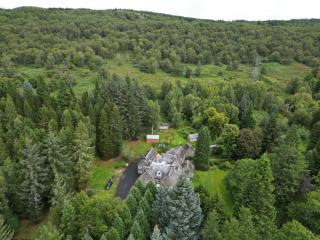 Birch Tree Cottage - Killichonan - 0