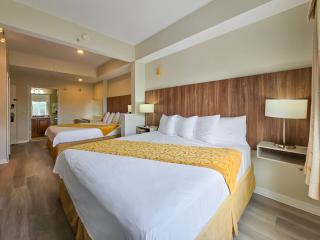 Double King Bed Suite, 5 Min from Universal, I-Drive & Outlets - Orlando - 3