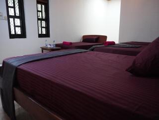 Bay Root Surf Resort - Arugam Bay - 3