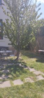 Chambre dans maison chaleureuse - 4