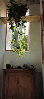 Chambre dans maison chaleureuse - 2