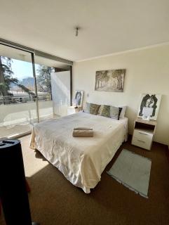 Apartamento luminoso en Providencia - Santiago - 9