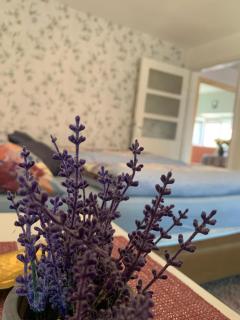 Apartman Duman Suza - 5