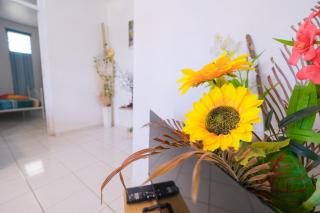 Joli appartement T2 avec citerne - Lamentin - 4