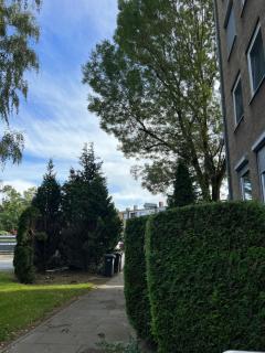 Neu möbliert Apartment 3 Zimmer 70qm mit Küche, Balkon, WC, Salzgitter City - Salzgitter - 1