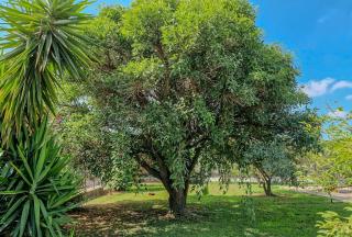 Villa il Profumo degli Aranci - Persano - 6