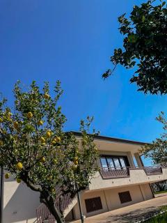 Villa il Profumo degli Aranci - Persano - 9