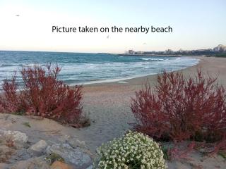 Budget-Friendly 2BR Apartment Near the Sea - Smart Layout for Privacy - 2