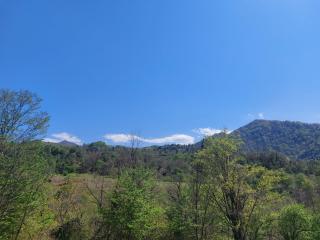 Marelisi village - 9