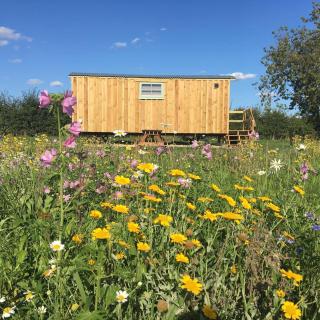 Honeysuckle Shepherds Hut 6 - Bedfield - 0
