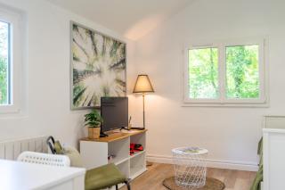 Douceur de Loire - Maison 4 personnes - Savonnières - 2