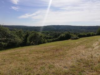 À 2 pas de la forêt de la Serre - 1