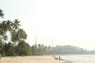 Koala Backpackers - Trincomalee - 1