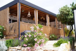 Hollers Holiday Homes Haus Max - Drage - 1