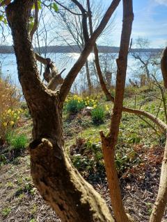 Jesters Island - Farum - 3