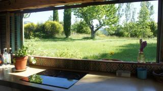Très belle maison provençale. Piscine et paysage - 1