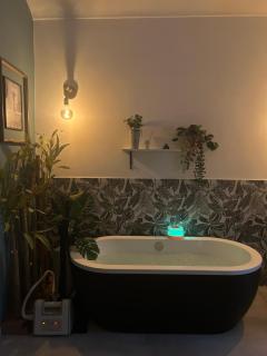 Blue Zen - Relaxing loft a Porta Nuova - Torino - 5