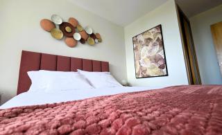 Amorosa Beach Apartment Sea View - Viana do Castelo - 8