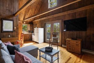 Cabin w Fireplace Fire Pit Grill & Games - Mathias - 4