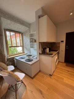 BONUM apartments in Vilnius old town - Vilnius - 5