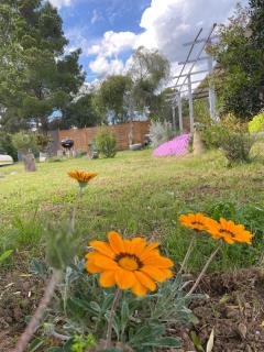 Beach House Ogliastra - a pochi passi dalla spiaggia - 2