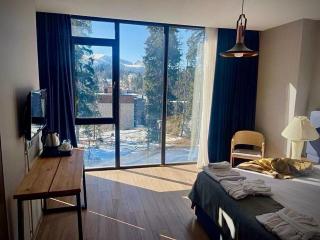 Flat in Bakuriani forest - 0